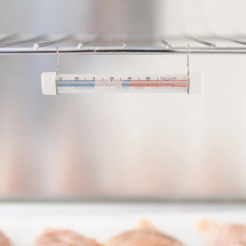 Taylor Fridge/Freezer Thermometer