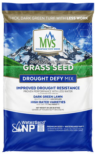 Mountain View Seeds Drought Defy, 20 Pounds