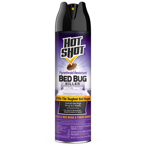 Hot Shot Bed Bug Killer (Aerosol) 17.5 Oz