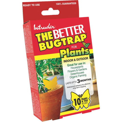 Intruder The Better Bugtrap for Plants Disposable Indoor/Outdoor Insect Trap (10-Pack)